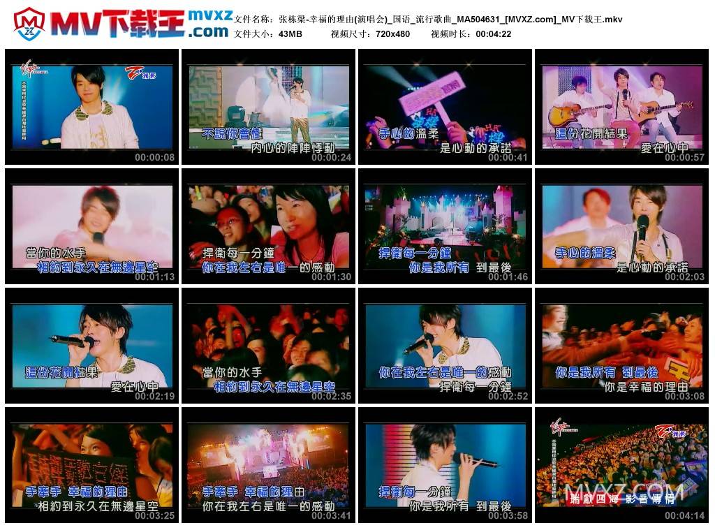 张栋梁-幸福的理由(演唱会)_国语_流行歌曲_MA504631